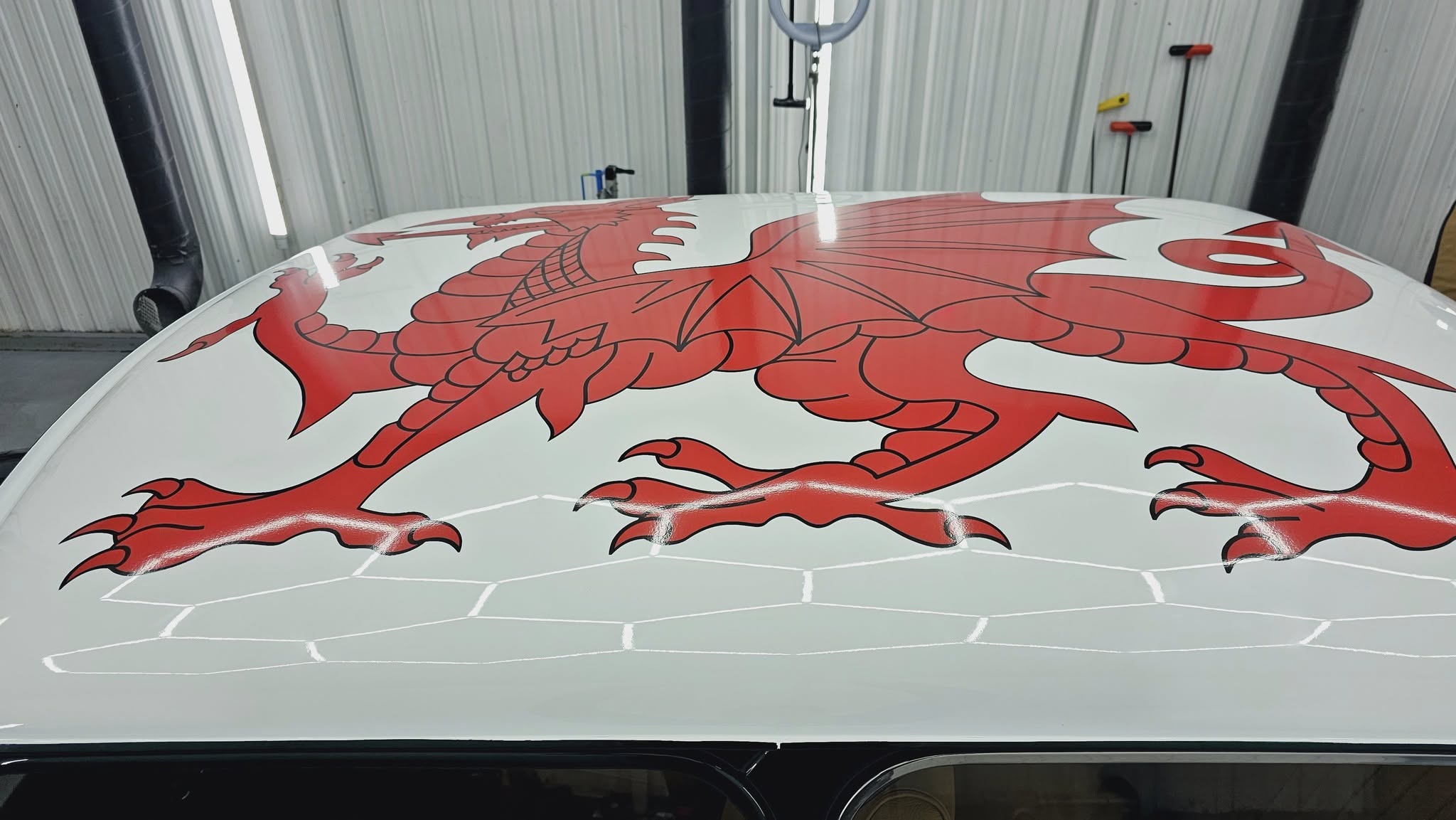 Smok walijski - widok 1